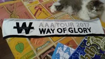 AAAETOUR 2017-WAY OF GLORY-װ