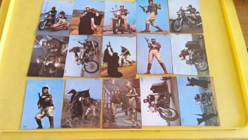 WILD�V�e���r���ʔ�