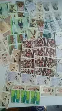 62~؎95Vigpi  6295[R9