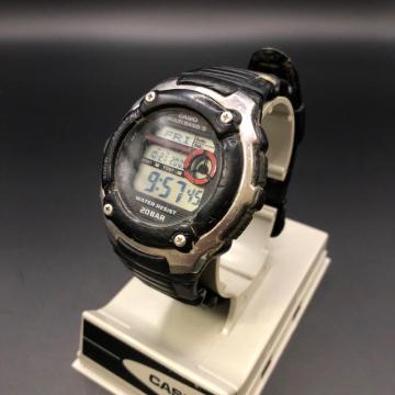  CASIO JVI wave ceptorrv WV-M200