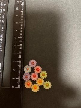 Jtԁ@lCp[c@fRp[c@W@nhCh