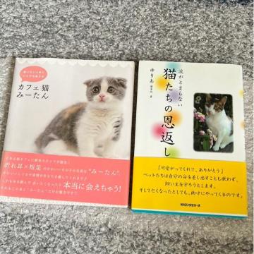 �L�����{�i�Q���Z�b�g�j