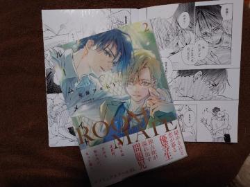 BL*�A�j���C�g�����q�t�y���[�����C�g �D�����Ɩ�莙�A�z �����A�L�q�h