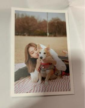 TWICE �c�E�B�@�����|�X�g�J�[�h�@Yes I am �A