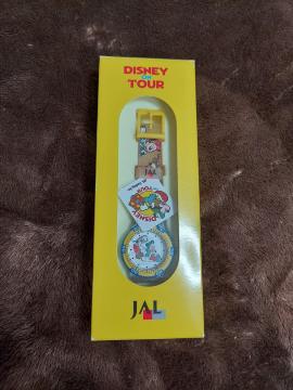 VilDISNEYONTYUR  JAL  rv