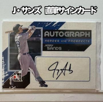 �y���[�L�[�J�[�h�z��_�^�C�K�[�X �T���Y ���M�T�C���J�[�h 2011�N