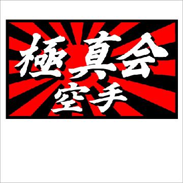旭日 極真会  空手  10センチ 2枚組