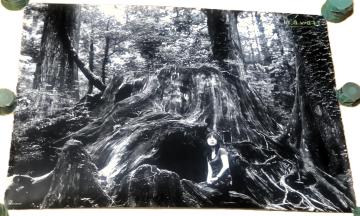 �ь��߂��� B2�|�X�^�[ CD Iravati ������T