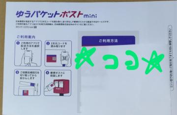 �䂤�p�P�b�g�|�X�gmini�����p����1�� �V�i���g�p