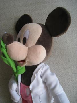  ~bL[}EX@ ʂ݁@ fBYj[ fBYj[][gi@