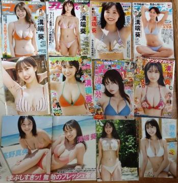 �a�[�� �؂蔲�� 110�y�[�W DVD4���t��