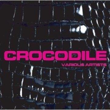 sCROCODILEtBES BEAR MAN KING-K y QGn^[`X WpQ reggae QG