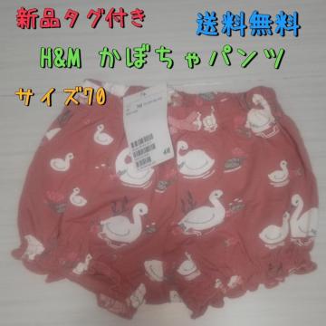 Vi^Ot H&MXڂpc TCY70 