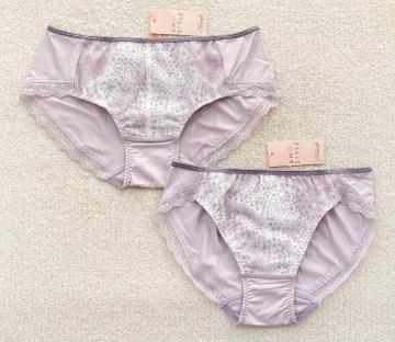 Triumph AMOSTYLE qbvnOV[c MTCY sNp[v 2Zbg