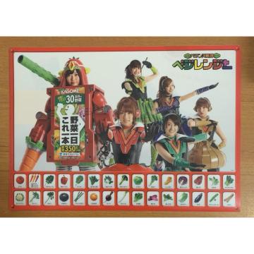 �y���������zAKB48�~KAGOME �o�����X����x�W�����W���[ �N���A�t�@�C�� ��