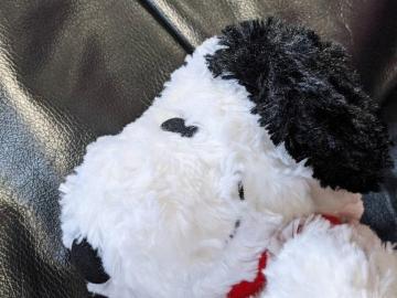 SNOOPY/ǰ߰/ʂ/HUG HUG/ǰ߰/ʂ/Ŷ2013