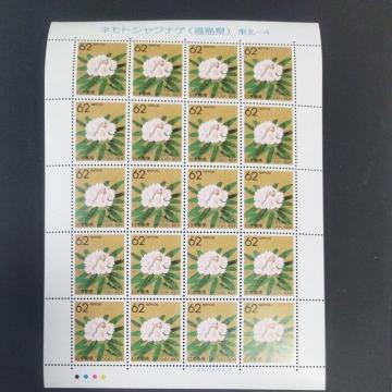 ӂ邳47s{̉ԁ@lgVNiQ@@k-4 62~20 V[g@J[R[hL