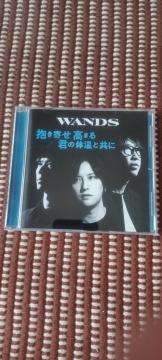 WANDSu ܂ N̑̉ƋɁvʏ