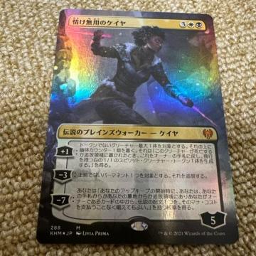 ����p�̃P�C���@FOIL �{�[�_�[���X