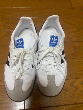 ^w@adidasXj[J[@ҏ