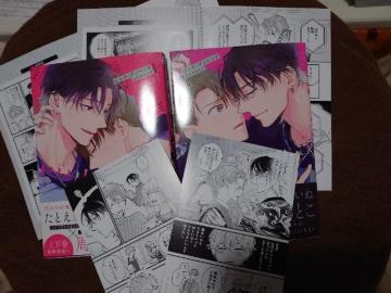 BL*���[�t���b�g�E���o�[�V�u���J�[�h�e�Q���t�y�s���N�E�f�B�y���h�����z���߂�������