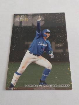 Jr[v싅`bvX2023 2e  FW-12 hSY 3 I