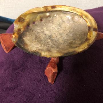 �V�R�L�k �ؐ��r�t�� �A�N�Z�T���[�g���C �������� �C���e���A�u��