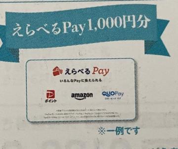 ׂPay/1000~500l10