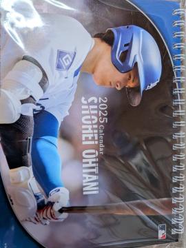 lL̑JĕI2025N̑J_[2B