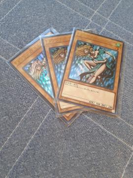 �V�Y���J�[�h �_���V���O�E�G���t 3�� ������ �E���g��