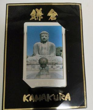 ���q�啧�e���z���J�[�h50�x�@���g�p