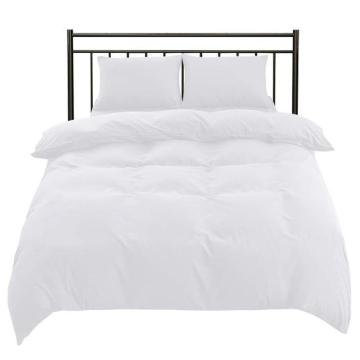 �z�c�J�o�[ �|���z�c�J�o�[ ���G��̗ǂ� �m���a�����p �ʋC�����Q ���� �s�[�`�X�L�����H �ې�(�V���O���E150*210CM)