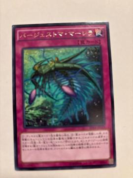 �V�Y���y㩁E�o�[�W�F�X�g�}�}�[�����z