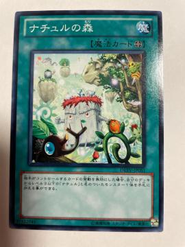 遊戯王【魔・ナチュルの森】