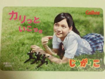 IiJr[ Ⴊ肱 t }J[h 500~