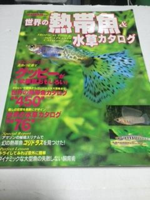 世界の熱帯魚&水草カタログ2005年度版 中古本 < ペット/手芸/園芸  世界の熱帯魚&水草カタログ2005年度版 中古本  < ペット/手芸/園芸の