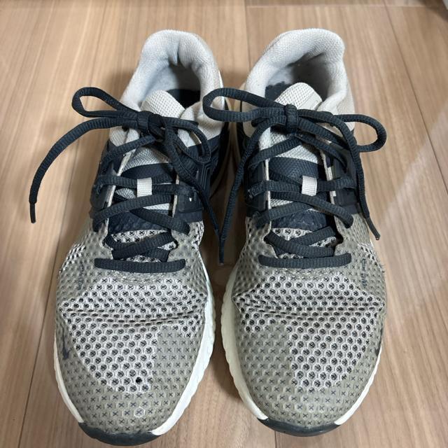 25cm �X�j�[�J�[�@NIKE�i�C�L�@�i�`�������J���[ �� �����t�@�b�V������ 