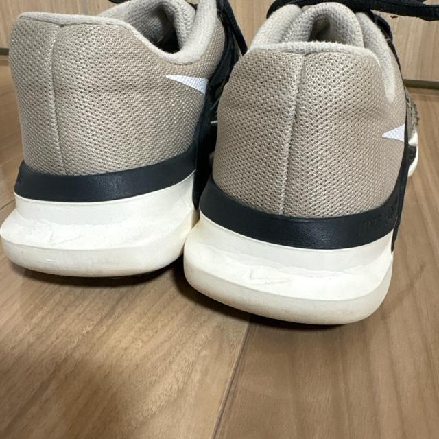 25cm �X�j�[�J�[�@NIKE�i�C�L�@�i�`�������J���[ �� �����t�@�b�V������ 