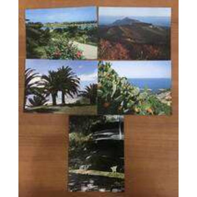 【送料無料】観光宮崎 明るい南のくに 九州 ポストカード 11枚入り < ホビー 【送料無料】観光宮崎 明るい南のくに 九州 ポストカード 11枚入り < ホビーの