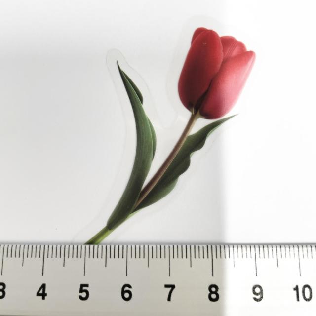 ���X�g��`���[���b�v�̃R���[�W���V�[���@381  �� �C���e���A/���C�t�� 