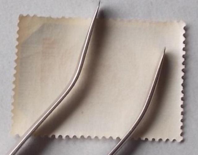 �y���g�p�z1957�N�@���ۘA�������L�O�@�P�� �� �z�r�[�� 