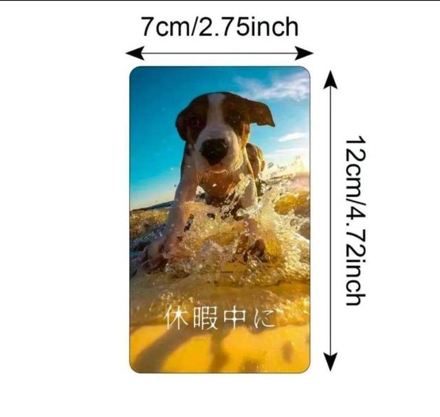 ���ԃI���N���J�[�h 54�� �X�s���`���A�� ���b�Z�[�W �肢 �� �{/�G���� 