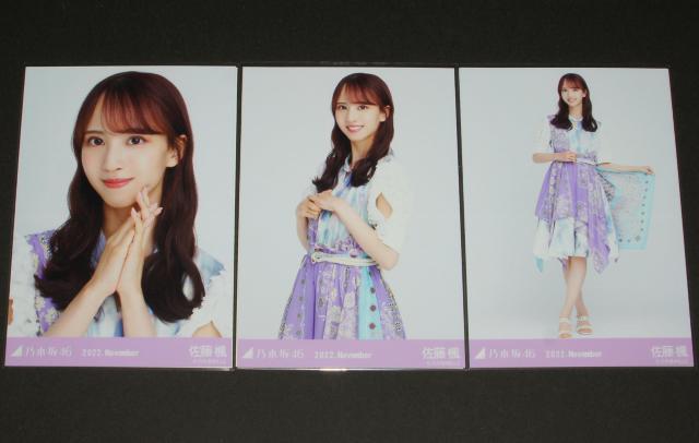 T؍46@@ʐ^RRv@^Ă̑ScA[2022ߑ   ^gObY 