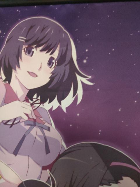 化物語 偽物語 タペストリー 3本セット < アニメ/コミック/キャラクター  化物語 偽物語 タペストリー 3本セット < アニメ/コミック/キャラクターの