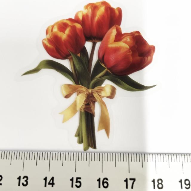 ���X�g��`���[���b�v�̃R���[�W���V�[���@385  �� �C���e���A/���C�t�� 