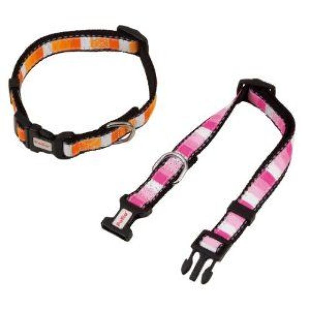 Petio ビビットボーダーカラー SS オレンジ★新品 〜5kg位 < ペット/手芸/園芸 Petio ビビットボーダーカラー SS オレンジ★新品 〜5kg位 < ペット/手芸/園芸の