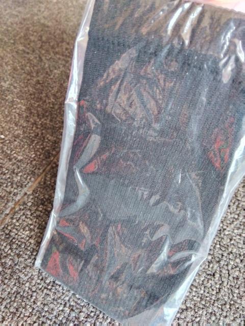 #gp##T|[^[#   wX/r[eB[ 