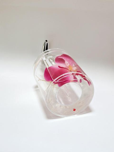 Vi Aqua Petal fBXyT[  ANAy^  CeA/Ct 