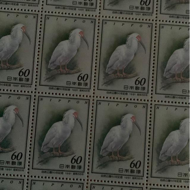 235���������L�O1200�~��(60�~�؎�) 