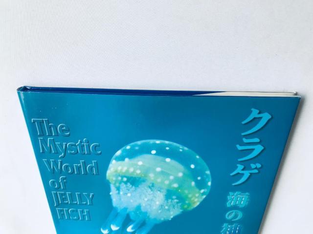 クラゲ 海の神秘 倉沢栄一 写真集 The Mystic World of JELLY FISH Eiichi Kurasawa < 本/雑誌 クラゲ 海の神秘 倉沢栄一 写真集 The Mystic World of JELLY FISH Eiichi Kurasawa < 本/雑誌の